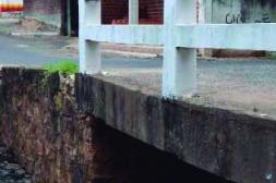 Latidos: Zona de alimañas,  Ni raro. ni novedoso y más...