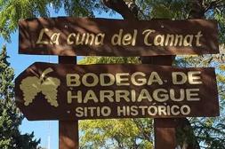 Salto se apronta para celebrar desde el lunes una nueva "Semana de Harriague"