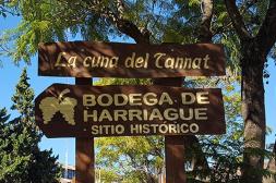 Salto celebra la Semana de Harriague con una nutrida agenda de actividades culturales, artísitcas y turísticas