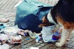 Látidos: Imagen que se repite, luces intermitentes y más...