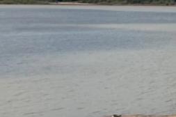 Salto Grande inicia el fin  de semana con estabilidad  operativa y niveles mínimos