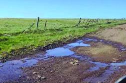 Látidos: Vandalismo rural, Mal olor, Avanza y más...