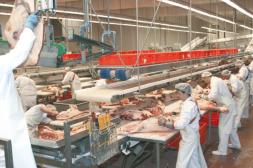 “La Caballada” trabaja 3 o 4 días a la semana  debido a falta de ganado y al precio de mercado 