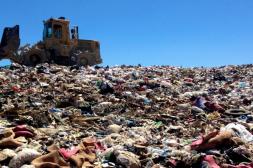 Pablo Alves (Salud Ambiental): Hacia un modelo sostenible: Salto busca transformar su gestión de residuos