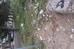 Latidos: Basural en Zona Este, Siguen las esperas y más...