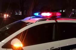 Intervención policial frustra robo de  cables del alumbrado en la zona sur