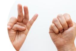 Curso Interpretación en Lengua de Señas