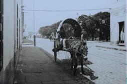 Fotografías antiguas de Salto: Madrugar en vano: una mañana de invierno en Salto de 1918