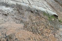 Latidos: Pérdida de agua, Heladera literaria y más...