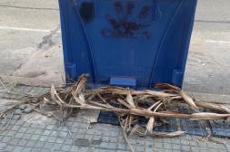 Latidos: Se sigue sin entender, Laicididad inexistente y más...
