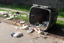 Latidos: Vandalismo, Salto no cuenta y más...
