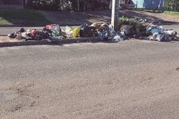 Látidos: Basura acumulada, domingo soleado y más...
