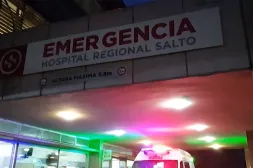 Niña de 6 años sobrevive tras ser embestida  por un auto que maniobró para esquivar equino