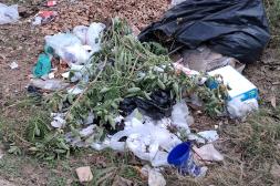 Látidos: Basura acumulada,  podas a pleno, motos en la vereda y más...