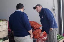 Gobierno de Salto adquirirá  frutas, verduras y huevos en  Central Hortícola del Norte