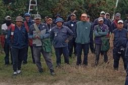 Trabajadores de cosecha  de Frutura exigen respeto  a convenio colectivo actual