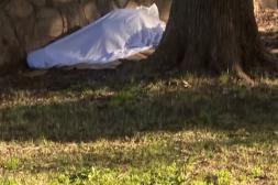 Latidos: Durmiendo en la plaza, nuevo despliegue y más...