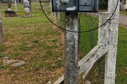 Latidos: Vandalismo que no cesa, Malas intenciones y más...