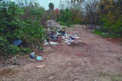 Látidos: Reparaciones de pérdidas de agua, bomba solar de agua y más...