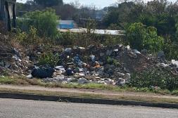 Látidos: Basura en un baldío, Limpieza de alcantarillas y más...