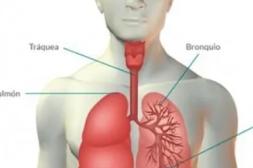 Emiten alerta por frío  y exhortan a prevenir  afecciones respiratorias