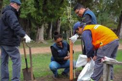 Jornada de plantación de lapachos  rosados en el Parque Benito Solari