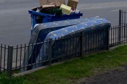Látidos: Mejor donarlos, Ruidos de motores y más...