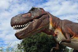 “Dino Aventura” se instala en el Parque Harriague y ofrece recorridos guiados con imágenes de dinosaurios a escala real