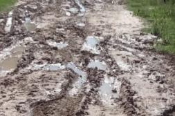 Latidos: Lluvias y humedad, No pueden más y más...