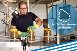 El MIEM abre convocatoria para el  programa “Transforma territorio” 