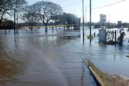 Río Uruguay se estabiliza en  11,30 tras días de creciente