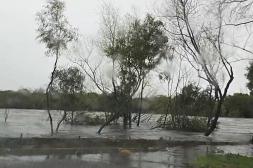 Río Uruguay mantendrá un tope  máximo de 11 metros hoy viernes