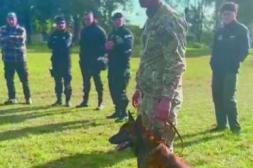 Equipos especializados en trabajo con perros policiales realizaron jornada