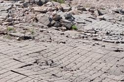 Latidos: Vereda destruida, Feria Colonia Osimani y más...