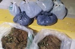 Incautaciones cercanas a los  $700.000 en procedimientos  en el puente de Salto Grande