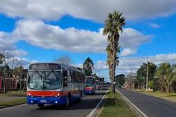 Ómnibus: arribaron a Salto las seis unidades restantes y se completó incorporación de 12 buses comprados a CUTCSA