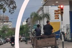 Latidos: El mundo del revés, Olores nauseabundos y más...