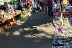 Feriantes de Plaza de Deportes  reclaman mayor seguridad y un  reordenamiento de los puestos