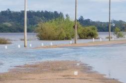 Puerto de Salto profundizará  descenso con un techo de 11,60 
