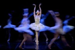 Ballet Nacional del Sodre presentará: "El  lago de los cisnes" en el Teatro Larrañaga