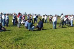Jornada interinstitucional impulsará el intercambio de experiencias y manejo eficiente recursos forrajeros en Salto